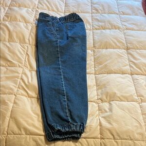 J Crew Factory Blue Denim Jogger Pants